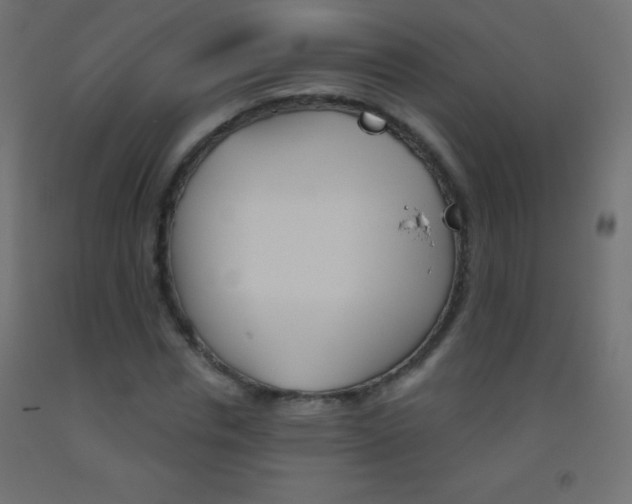 X0000093520826200710121126