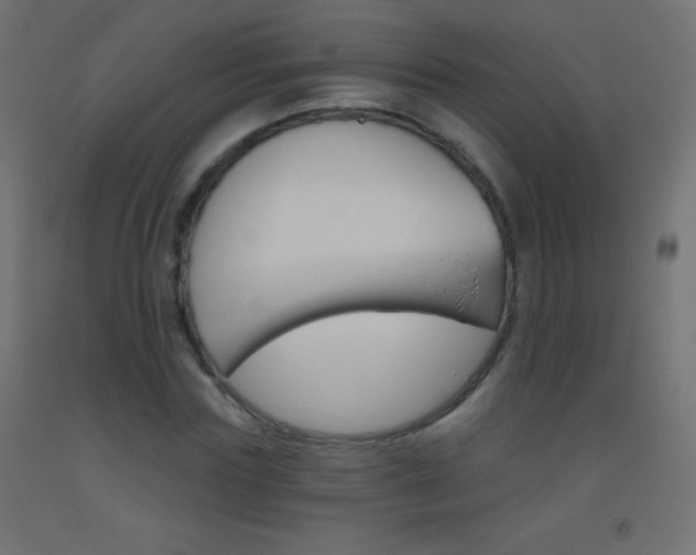 X0000093520827200710121126