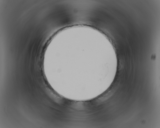 X0000093520828200710121126