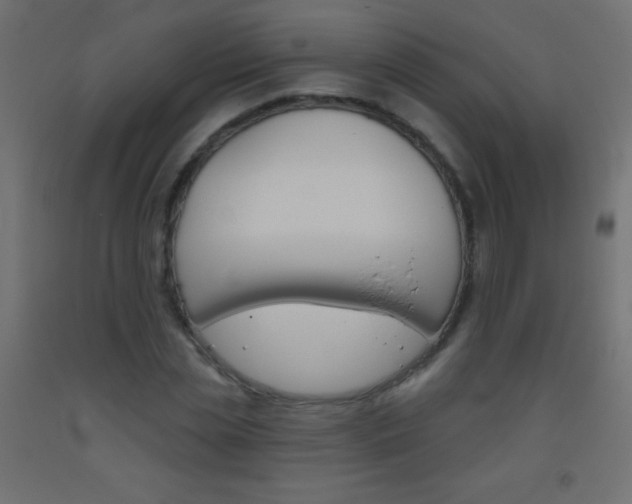 X0000093520829200710121126