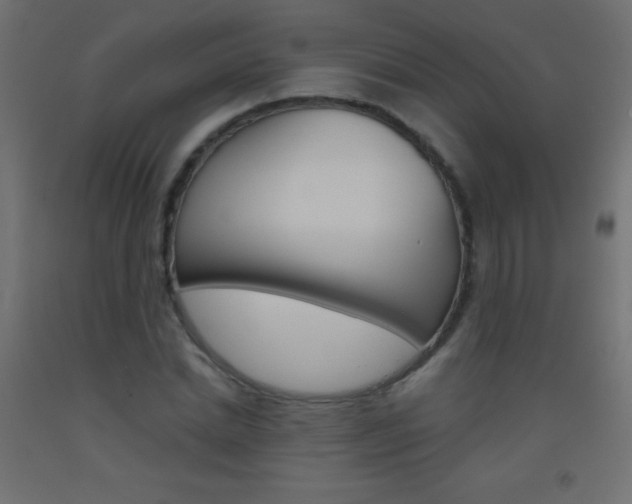 X0000093520830200710121126