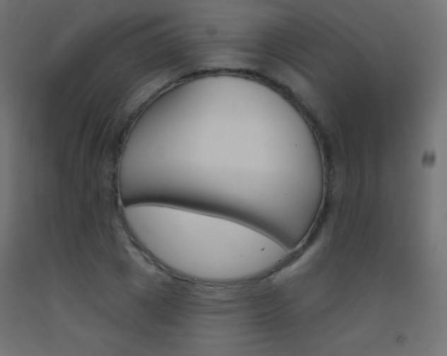 X0000093520833200710121126
