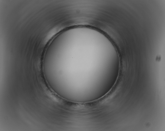 X0000093520834200710121126