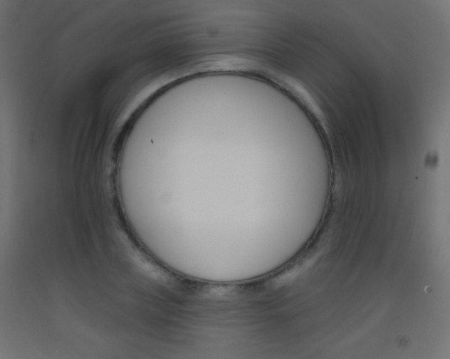 X0000093520835200710121126