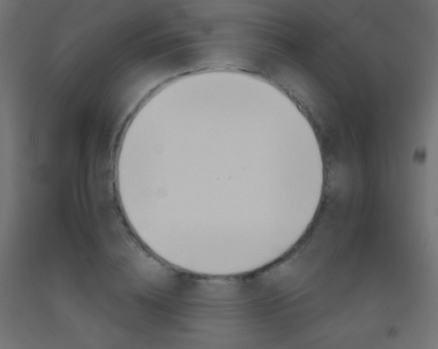 X0000093520836200710121126