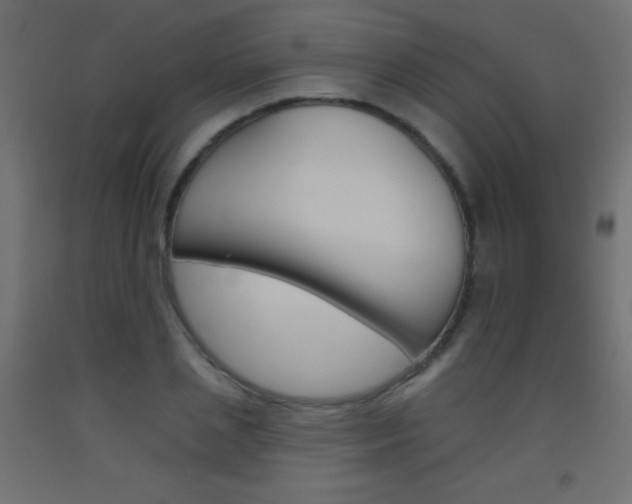 X0000093520837200710121126