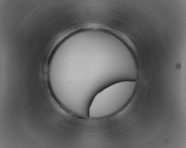 X0000093520839200710121126