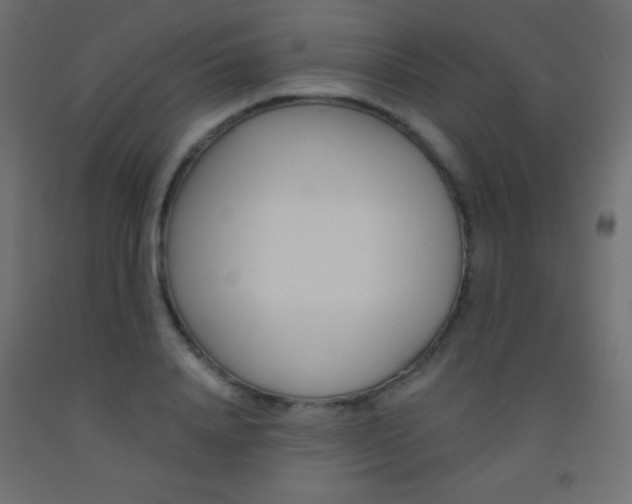 X0000093520840200710121126