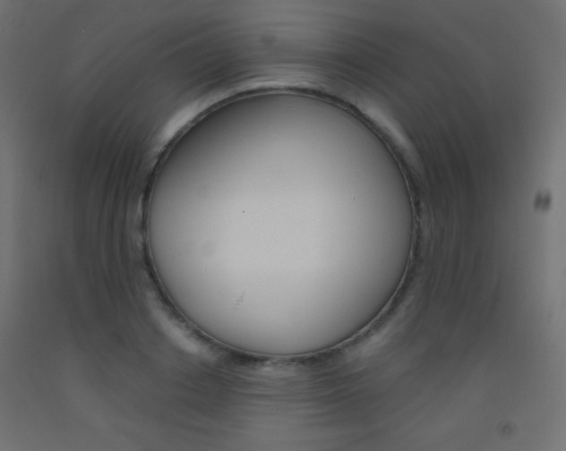 X0000093520842200710121126