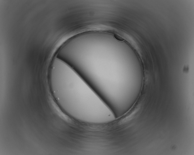 X0000093520843200710121126