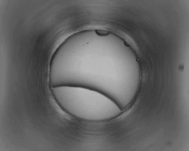 X0000093520844200710121126