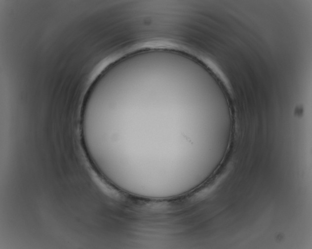 X0000093520845200710121126