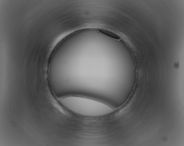 X0000093520846200710121126