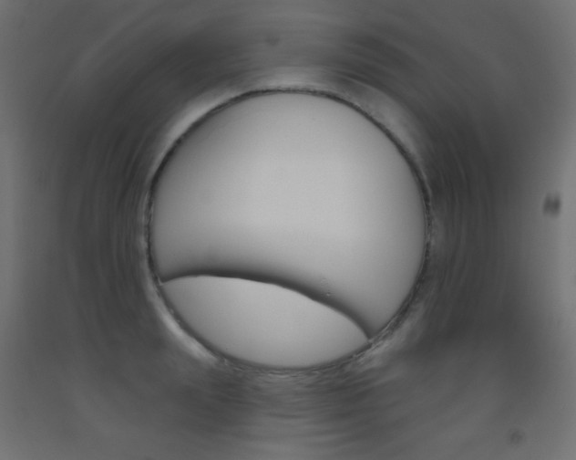 X0000093520847200710121126