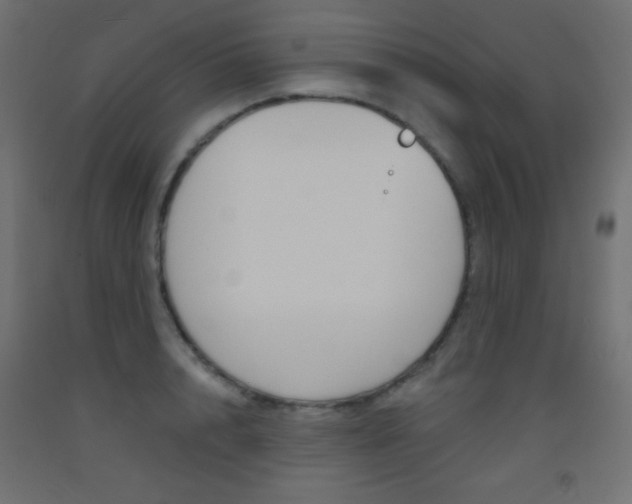 X0000093520848200710121126