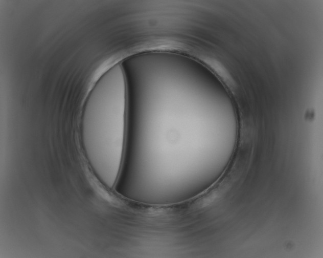 X0000093520850200710121126