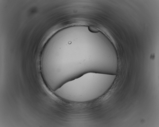 X0000093520851200710121126