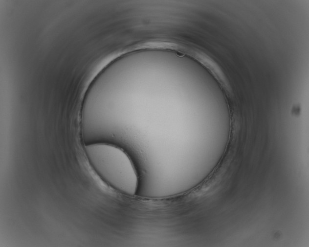 X0000093520852200710121126