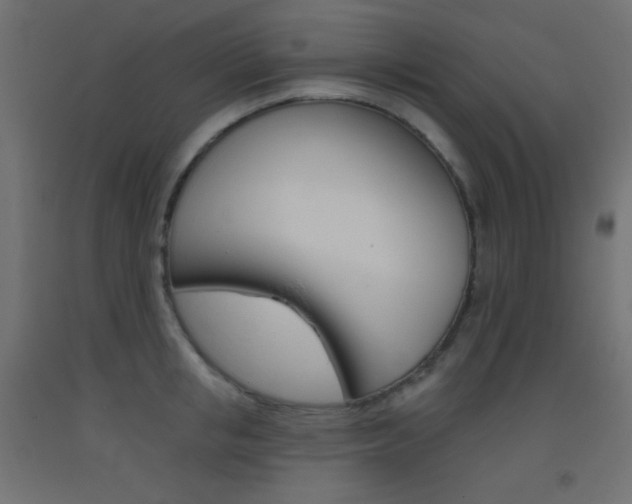 X0000093520853200710121126