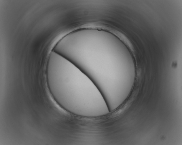 X0000093520855200710121126