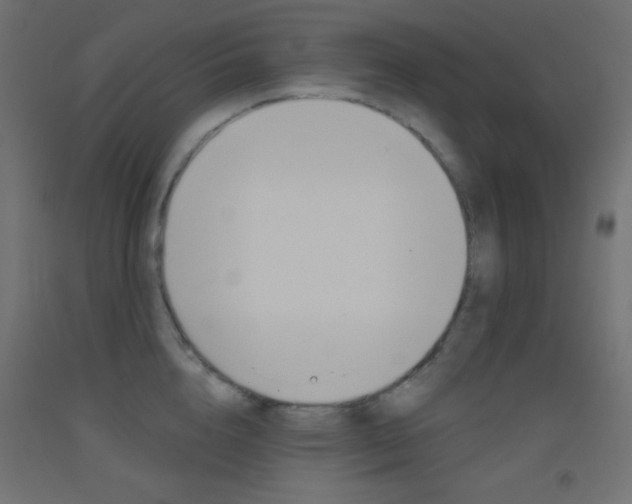 X0000093520856200710121126