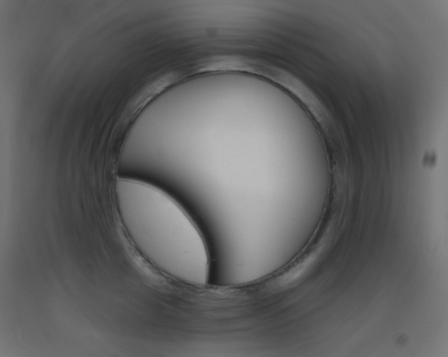 X0000093520857200710121126