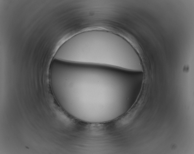 X0000093520858200710121126