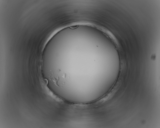 X0000093520860200710121126
