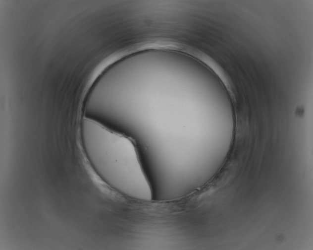 X0000093520861200710121126