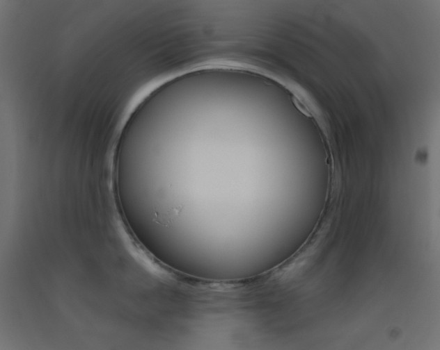 X0000093520862200710121126