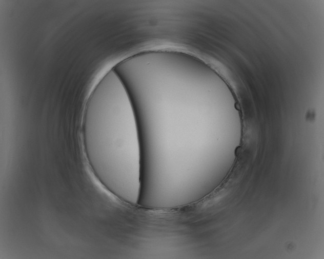 X0000093520863200710121126