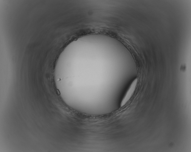 X0000093520865200710121126