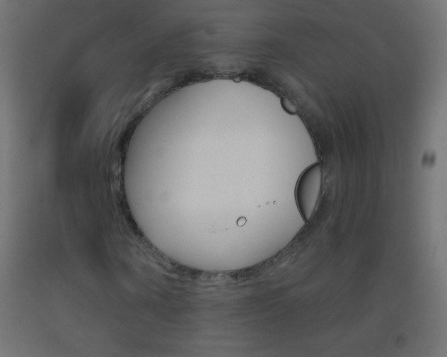 X0000093520866200710121126