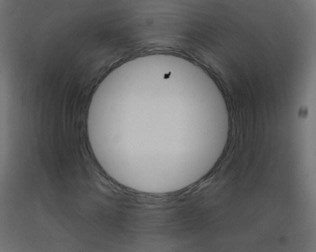 X0000093520868200710121126