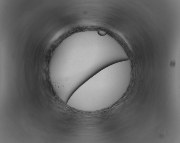 X0000093520871200710121126