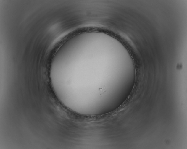 X0000093520872200710121126