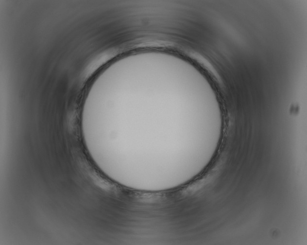 X0000093520874200710121126