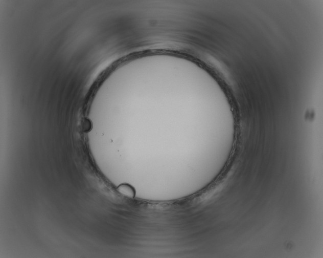 X0000093520875200710121126