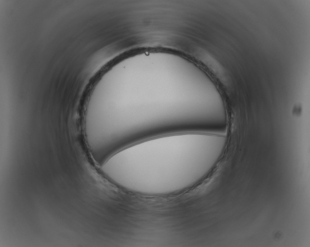 X0000093520876200710121126