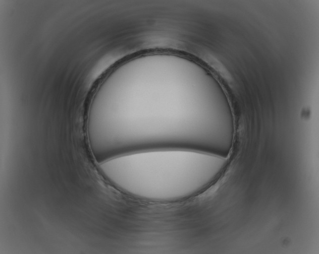 X0000093520877200710121126