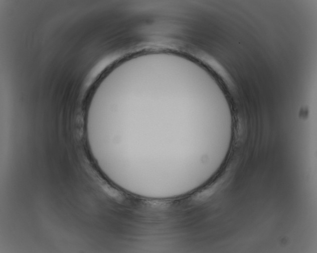 X0000093520878200710121126