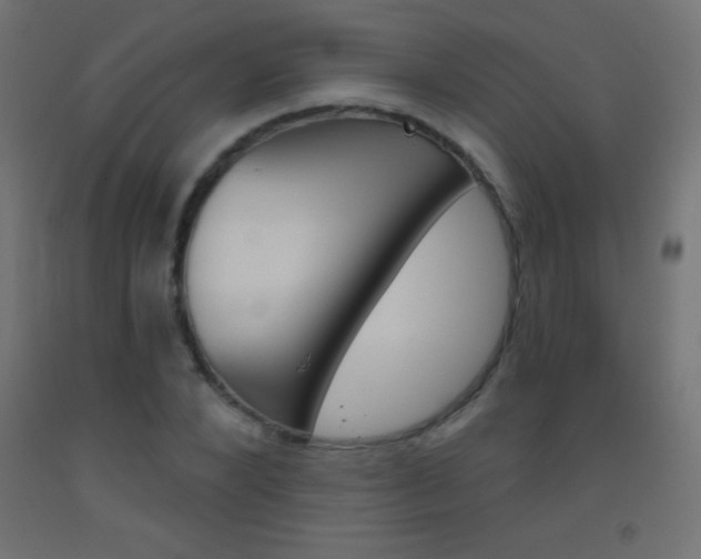 X0000093520880200710121125