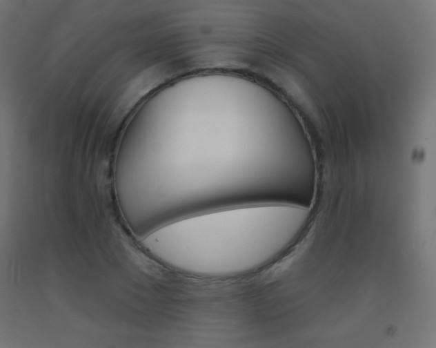 X0000093520881200710121125