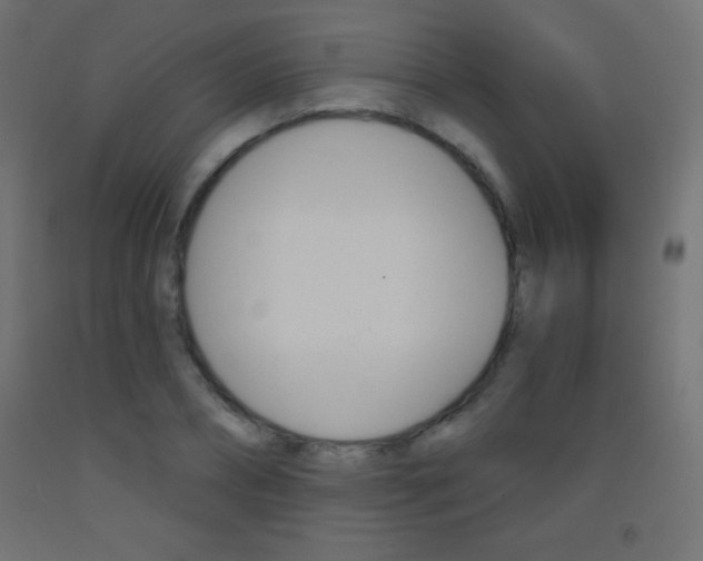 X0000093520882200710121125