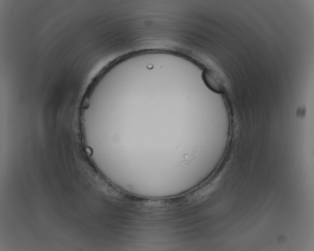 X0000093520883200710121125