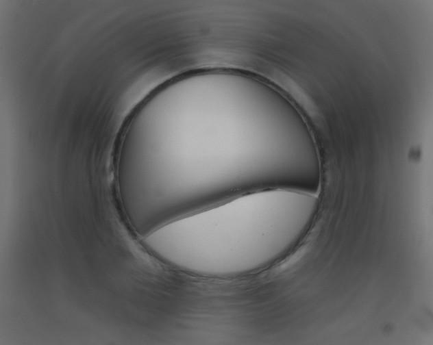 X0000093520885200710121125