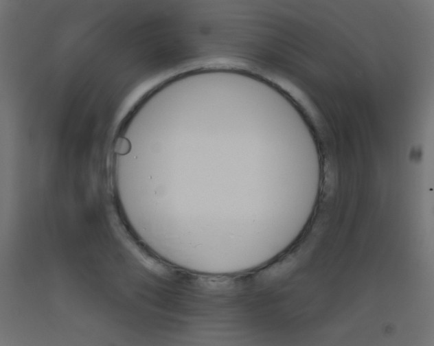 X0000093520886200710121125