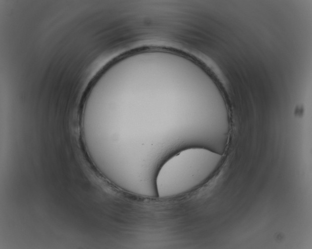 X0000093520887200710121125