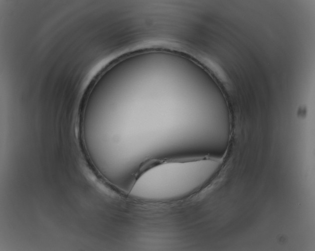 X0000093520888200710121125