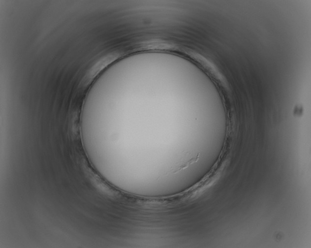 X0000093520889200710121125